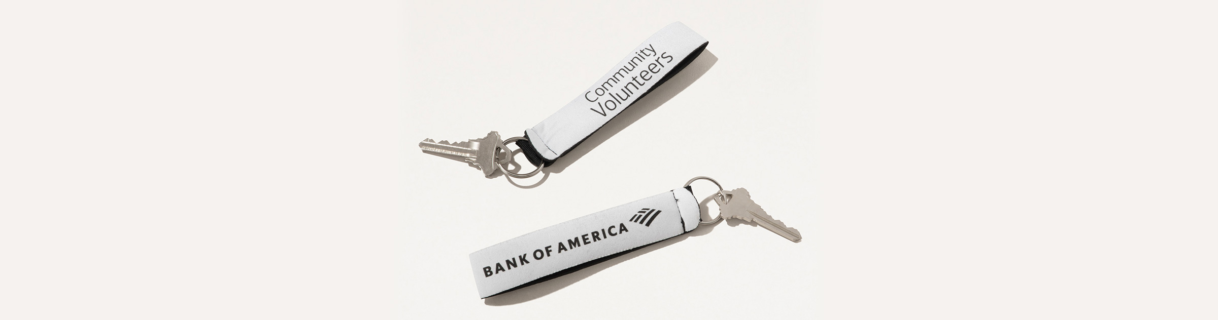 Bank of America Community Volunteers