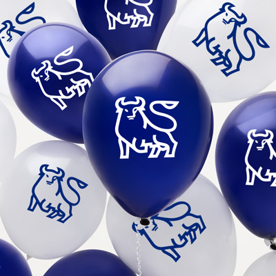 Bull Latex Balloons - 48 Pack