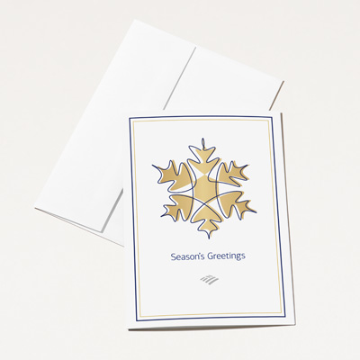 Flagscape Holiday Snowflake Cards - 25 Pack