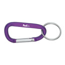 FedEx Carabiner Key Tag