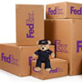 FedEx Courier Teddy by ZZZ Bears