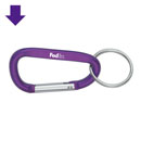 FedEx Carabiner Key Tag (10 Pack)