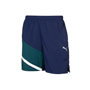 Men's Puma® Sport Shorts