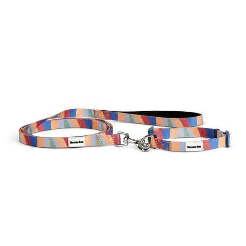 Dog Collar and Leash Set - Navy/Green/Orange