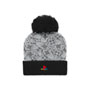 PlayStation Cold Weather Bundle